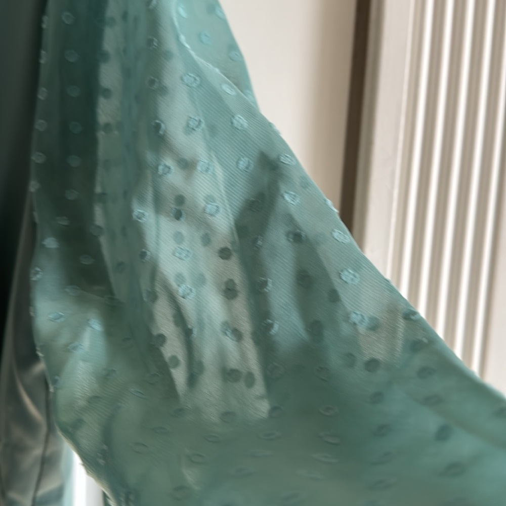 Homie Teal V-Neck Blouse with Sheer Dot Sleeves - Picture 4 of 5